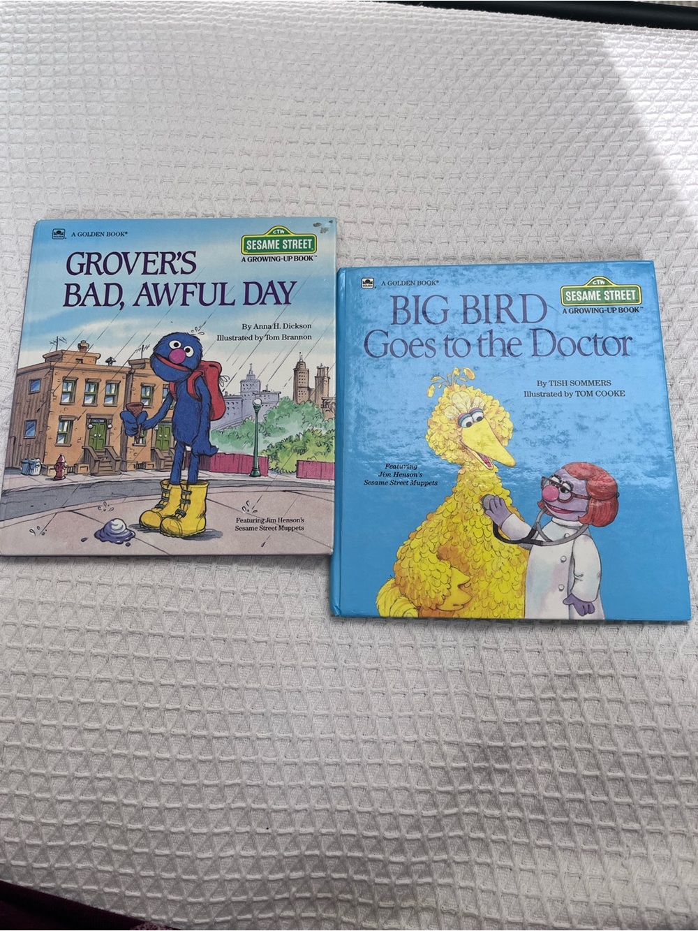 Sesame Street Board Books - Blue & Purple Back Covers